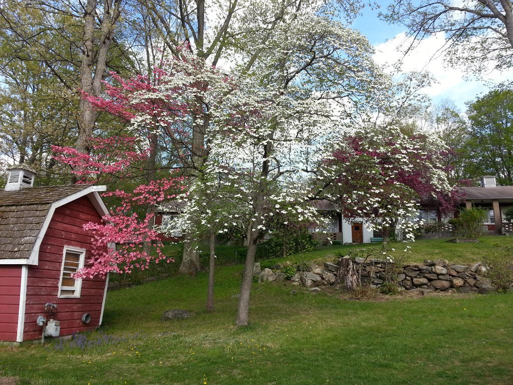 Heidi'S Inn บรูว์สเตอร์ ภายนอก รูปภาพ